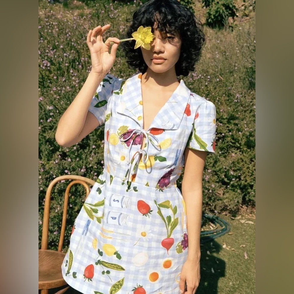 Lisa Says Gah Alexa Picnic Gingham Shirtdress